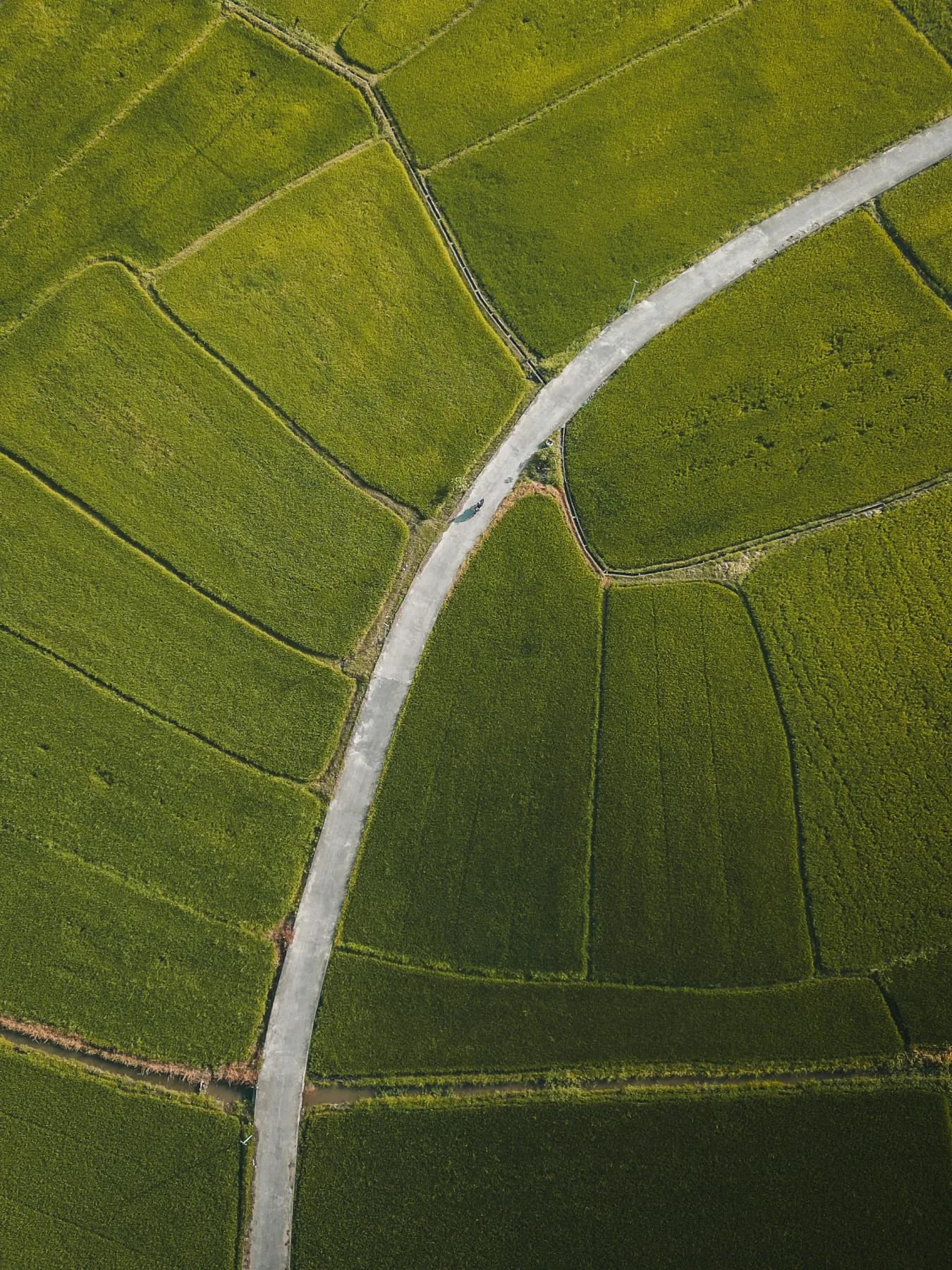 Building a greener future – Trident heat pumps